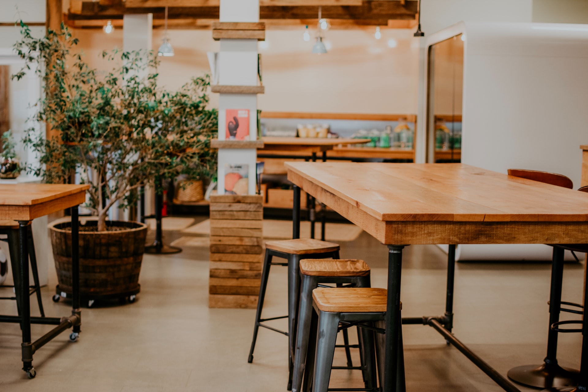 The Pros and Cons of Different Types of Wood for Furniture